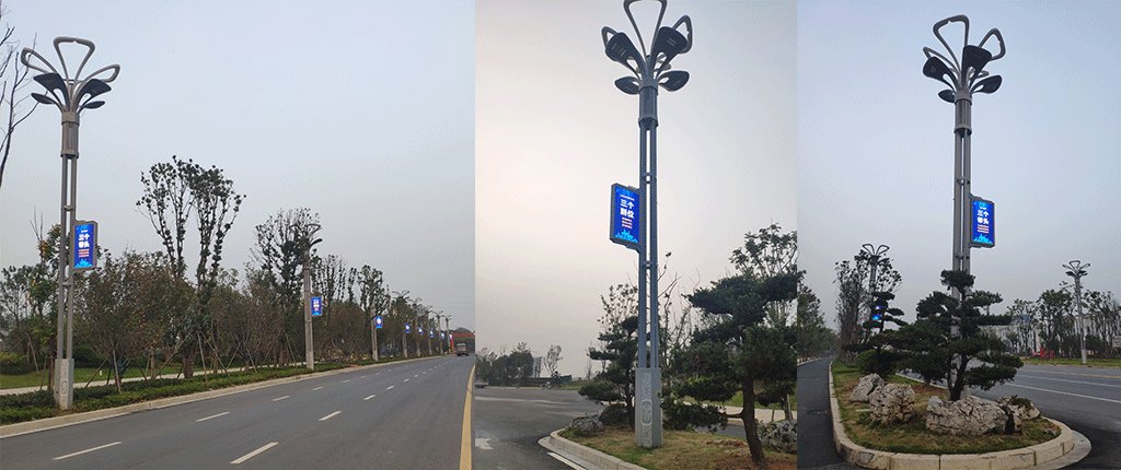 Ganjiang New Area TL384-63 Inch Double Sided LED Pole Screen 208* 364* 2 dots 146 sets - Showcase - 3