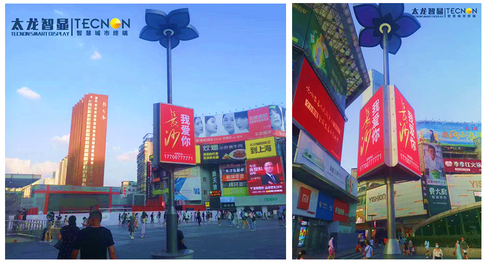 TL384-85 Inch Triple Sided   LED Pole Banner - LED Pole Screen - 6