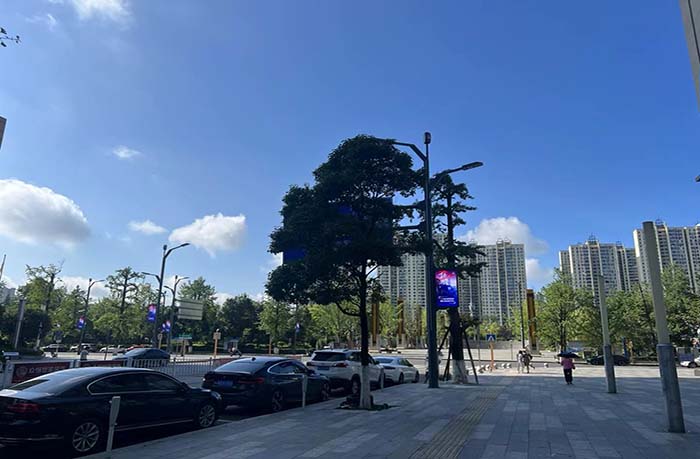 Smart LED pole on Guiyang Financial Street - Showcase - 2