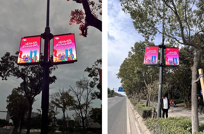 308 sets of LED light pole screen are applied to the main roads of Lingang New Area of ​​China (Shanghai) Pilot Free Trade Zone - Showcase - 3