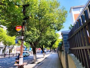 The Rise of Pole LED Displays in Commercial Streets