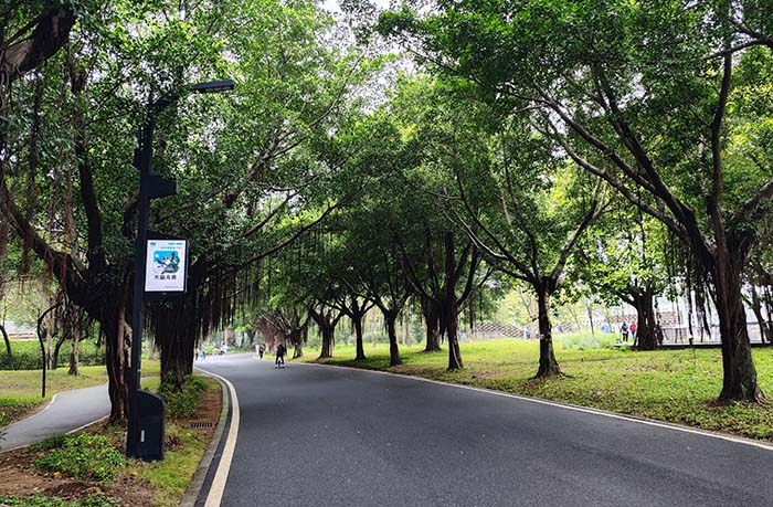 Enhancing Visitor Experience and Park Management with Tecnon pole led display screens at Haizhu National Wetland Park - Showcase - 5