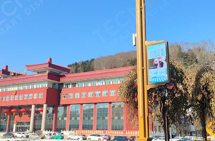 Durable and High-Performance LED Pole Banners in Linjiang City - Showcase - 1